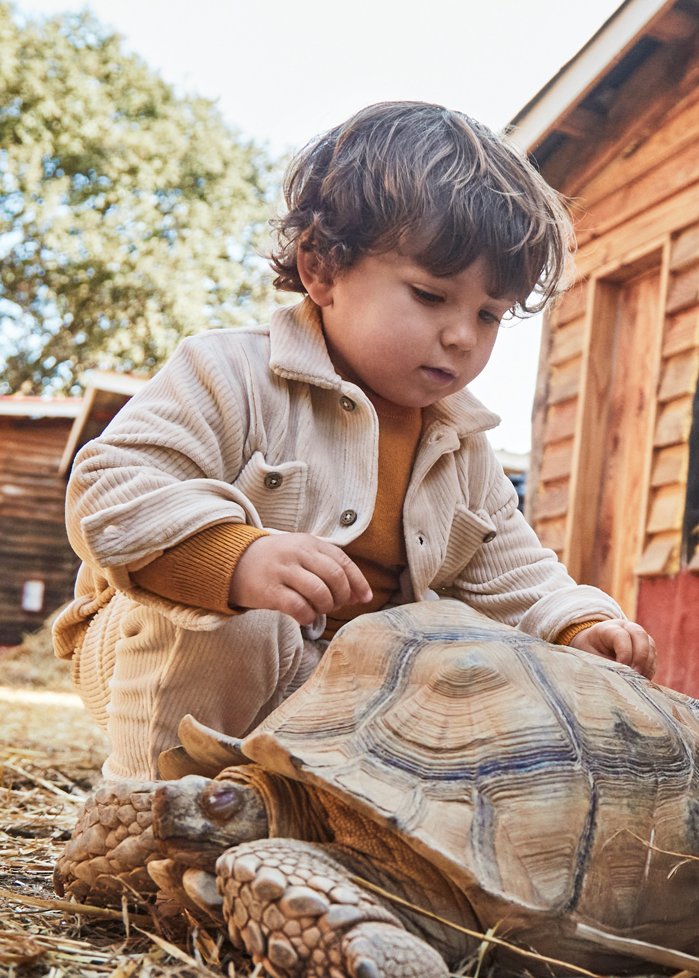 Сорочки та поло. Сорочка Mayoral 15-02105-051