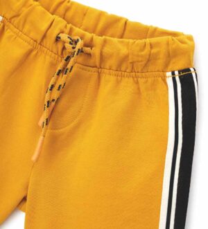 Шорти. Шорти для хлопчика DGP0354NM