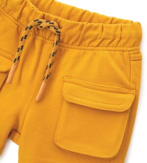 Шорти. Шорти для хлопчика DGP0355NM