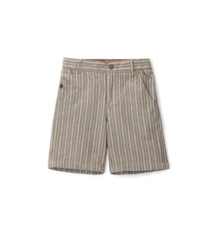 Шорти. Шорти для хлопчика DGP2149B