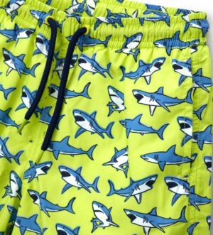 Одяг для плавання. Плавки для хлопчика DGP2155B