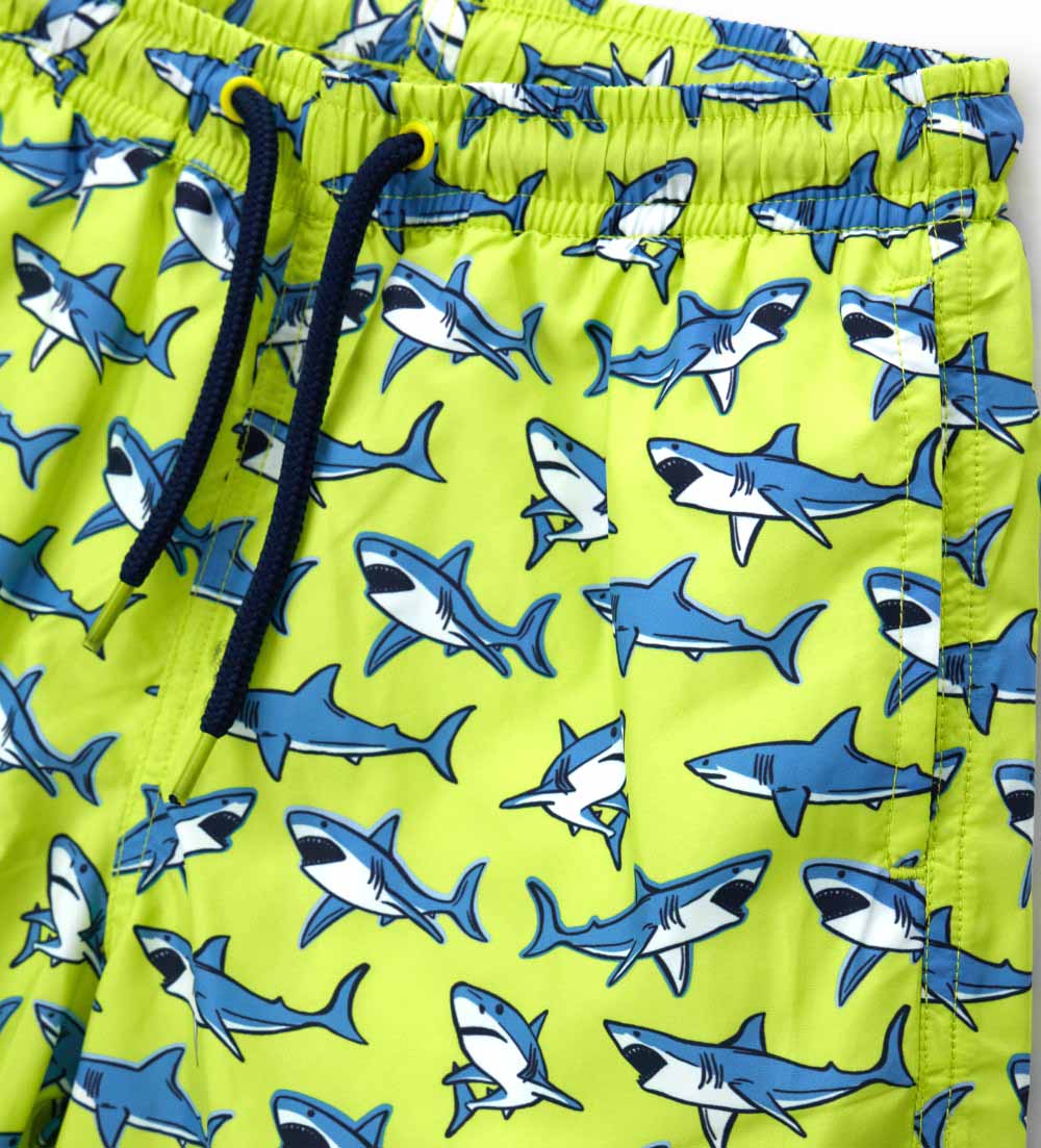 Одяг для плавання. Плавки для хлопчика DGP2155B