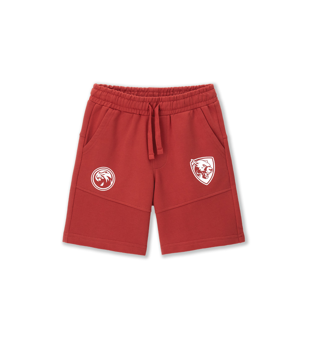 Шорти. Шорти для хлопчика DGP2176B