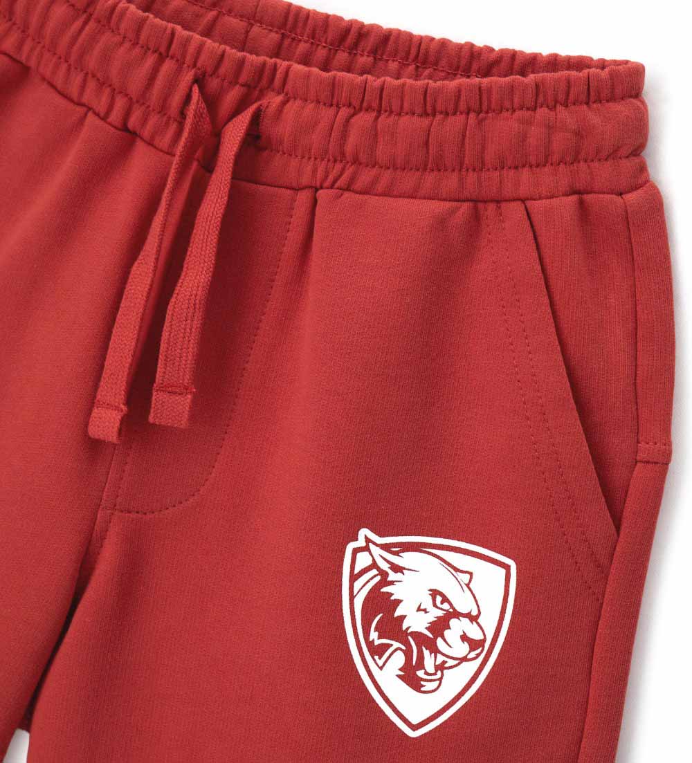 Шорти. Шорти для хлопчика DGP2176B